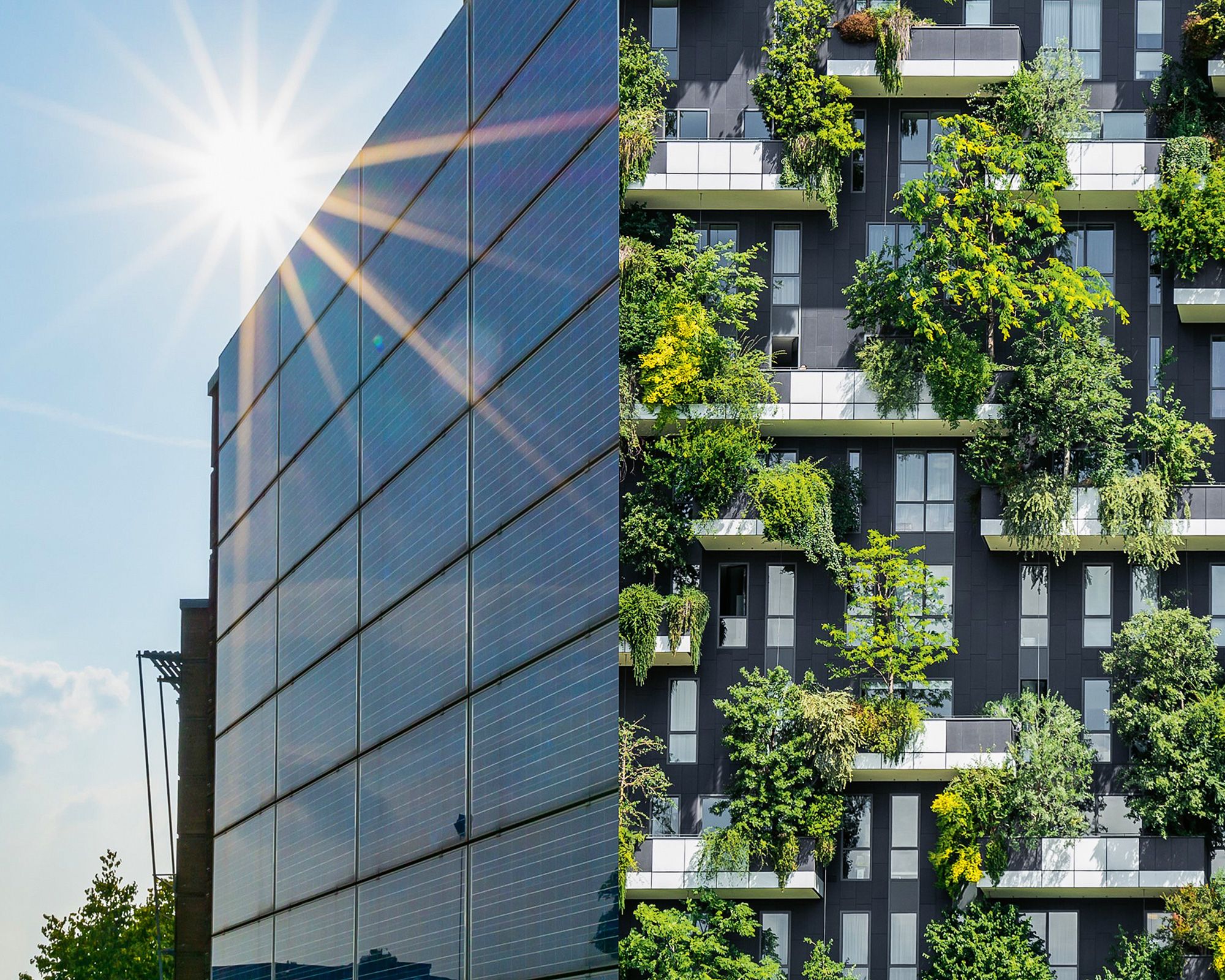 Fassaden: Wie sich Photovoltaik und Begrünung ergänzen