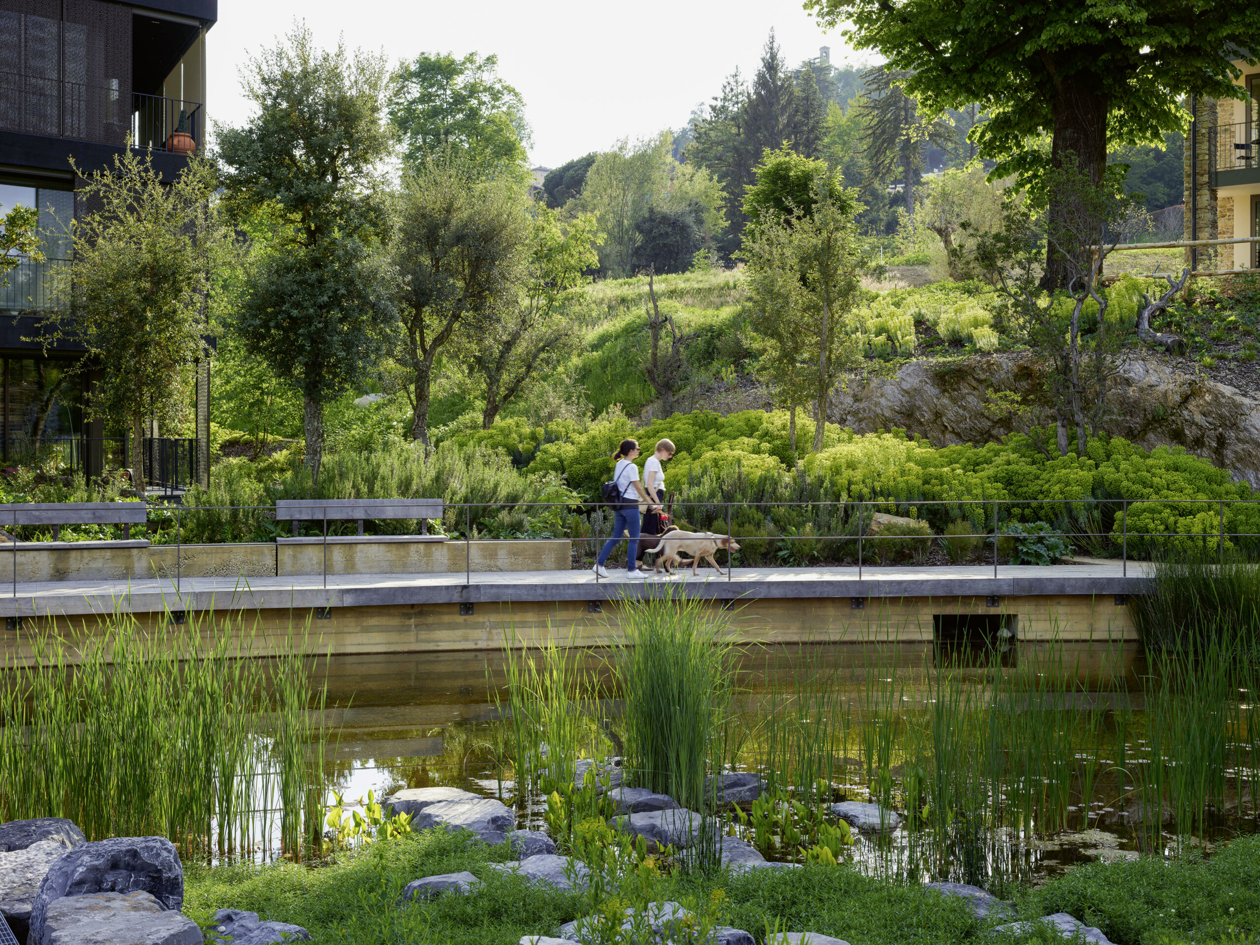 Der Zusatz «Eco» bei Minergie: Die Kriterien für die Biodiversität
